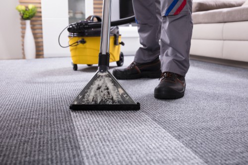 Rug and carpet cleaning service