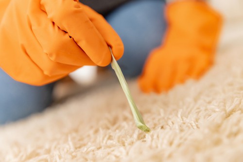 Spot Cleaning for carpet cleaning