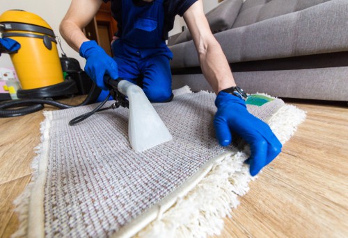 Professional rug cleaning service