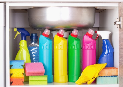 Can Regular Cleaning Remove Bacteria & Germs in My Home? 
