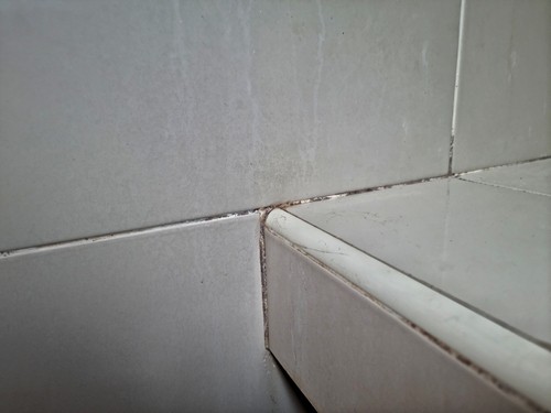 Ceramic Tiles and Grout Cleaning Tips