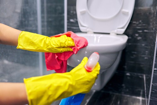 Preventing the Urine Smell Proactive Measures for a Fresh Toilet