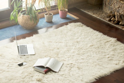 DIY Rug Cleaning Hacks When to Call the Professionals