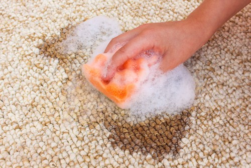 The Science of Spot Cleaning