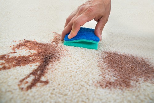 Eco-Friendly and Safe Cleaning Practices